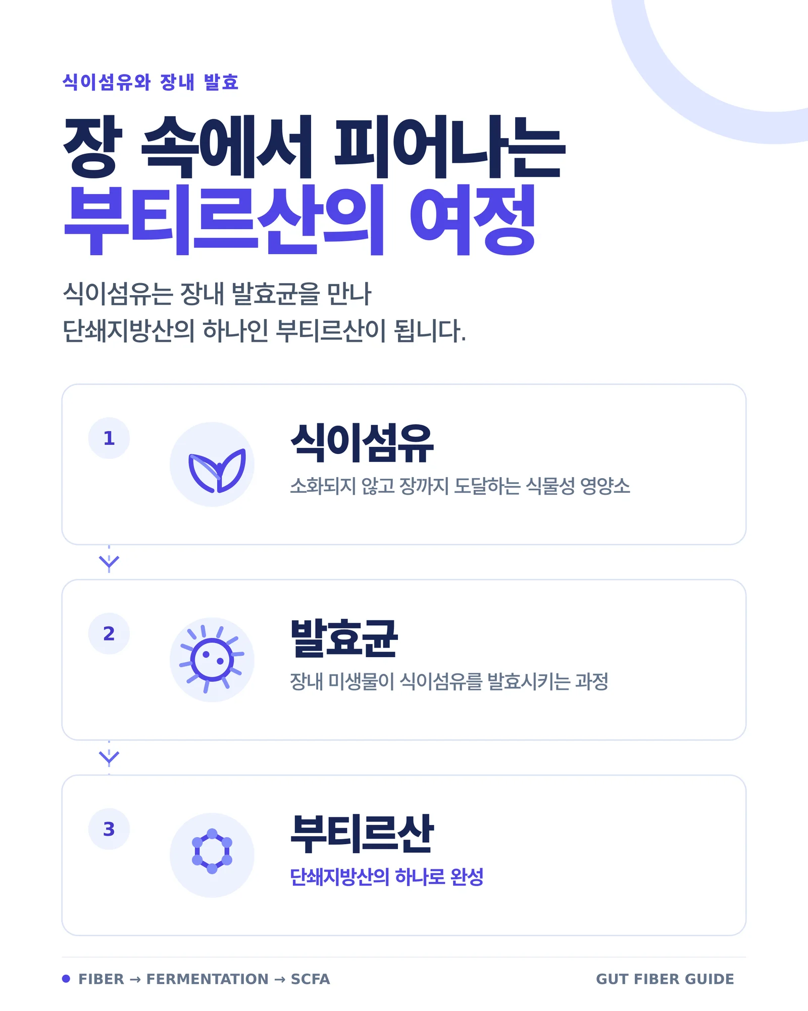 유산균 효과 관련 식재료와 섭취 환경