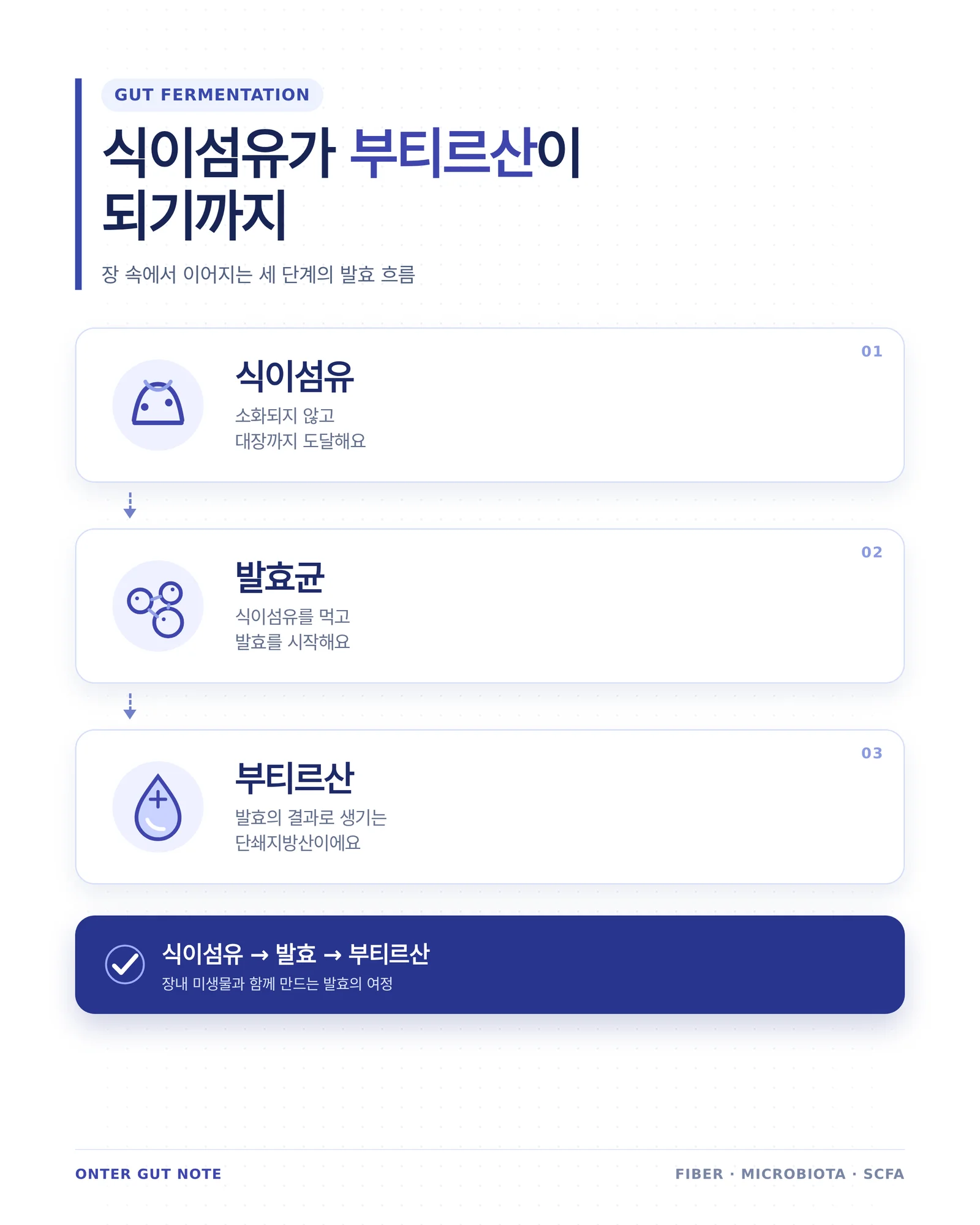 식이섬유 영양제 원리를 설명하는 이미지
